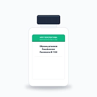 Образец штаммов Pseudomonas fluorescens B-1138